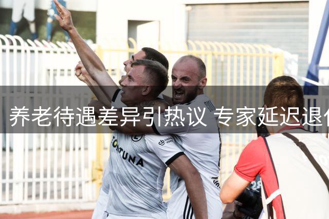 养老待遇差异引热议 专家延迟退休遭质疑